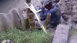 Dua Terduga Pencuri Kayu Pintu Air Tambak Tewas, Empat Lainnya Kritis Usai Diamuk Massa di Sedati